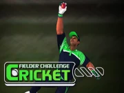 Cricket Fielder Challenge Game Online Football Games on NaptechGames.com
